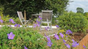 Green Acres Self Catering - Claremorris - 1