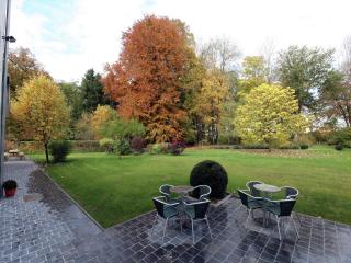 Luxurious Mettet Mansion - 5