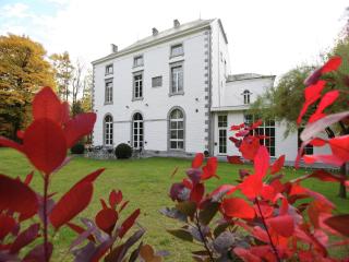Luxurious Mettet Mansion - 0