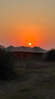 Pumba Luxury Camp - Serengeti - 2
