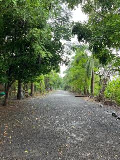 Pruthvi Bungalow - EcoFriendlyTourism - efl - 7