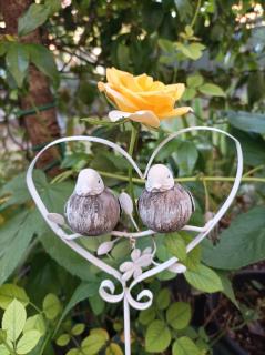 7 Olmi b&b Bologna - 9