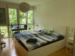 Helle Wohnung am Waldpark - 3