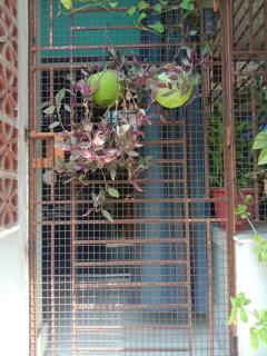 Nandini Santiniketan Homestay - 6