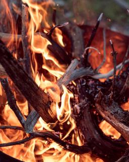 Eco Camping Valbone - 3