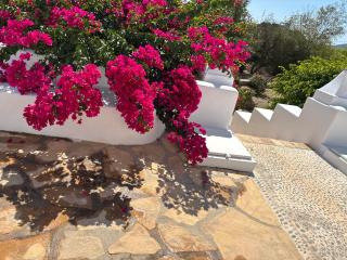 Niriedes Villas - 1
