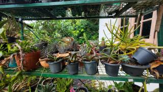 Hills Homestay - 8