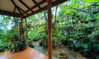 Hills Homestay - 1