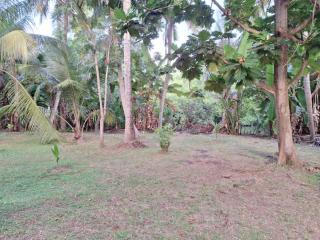 Jaya Villa - 4