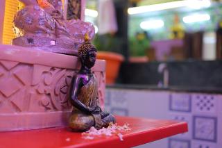 ANAND LOK VATIKA - 6