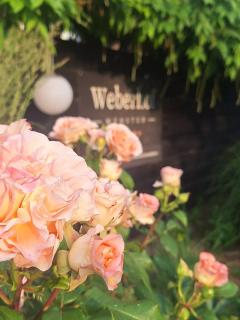 Glamping auf dem Weberhof - 5