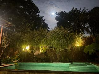 Bumbung Sari Villa - 9