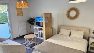 Studio Leman Ciel avec parking privé gratuit - 2