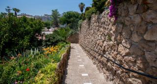 Santa Clara Views - 1