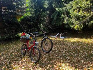 ELDORADO - całoroczny domek wakacyjny 35 km od Krakowa - 8
