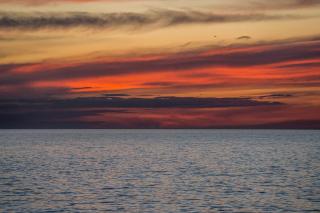 Vila Didi - Fažana - 4