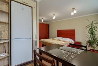 Lovely studio Yaltynska street - Kiev - 4