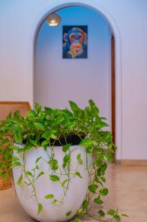 Villa Comfort - Hikkaduwa - 3