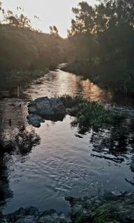 Granny's Cottage - 8