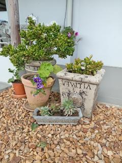 Granny's Cottage - 9