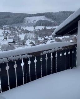 FeWo Pieck mit Parkplatz und privater Garage - 9