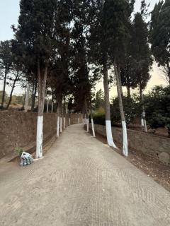Armonia buglaow residence MARSA MDIQ - 9