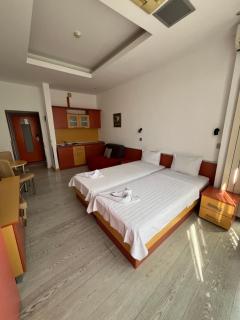 Apartmani Šumadija 17 - 8