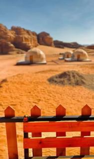 Wadi Rum Grand Oasis - 5