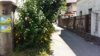 Sunflower Accommodation - Liubliana - 6