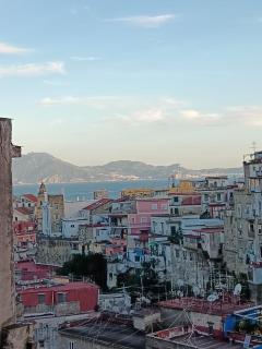 OIVITA by LUGANI B&B COLLECTION - 0