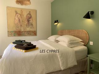 Le Domaine de l'Aiguille Alpilles, Eygalières, Saint Rémy de Provence - 6