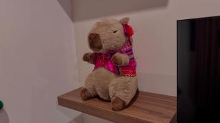 Cozy Equipped Apartment in Cusco - 7