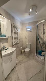 Comfortable Duplex with Stunning Ida Mountain View - 3
