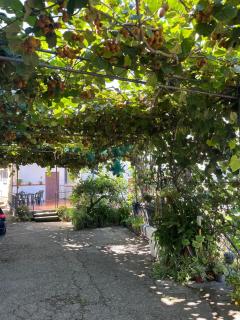 Nello House - 1