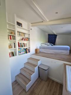 Massilia Shelter - 2