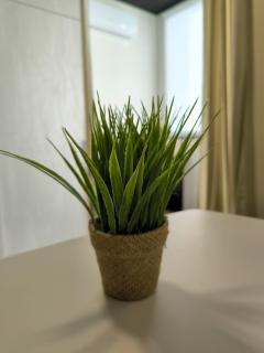 BT Apartment - 5