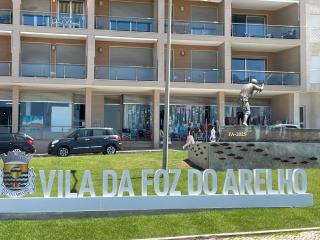 Luxury 6 Bedroom Oceanfront Vila - Sleeps 22 Guests - 3