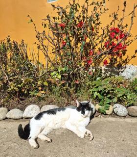 Cabañas LuCes del Pirque 2 - 6