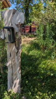 Traumwohnung mit eigenem Garten - 3