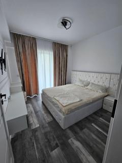 Apartament 2 camere Brazda - 1
