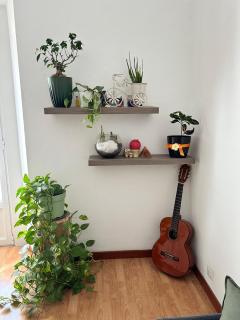 Molis's House - 1