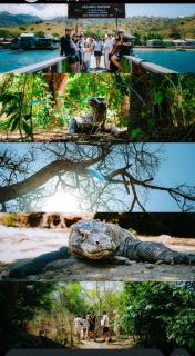 Rusde's Komodo Homestay - 7