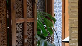 Riad Shama - 6