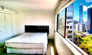 Amplio Depto 1 Habitacion y sofá cama, con estacionamiento en el golf las condes - 9