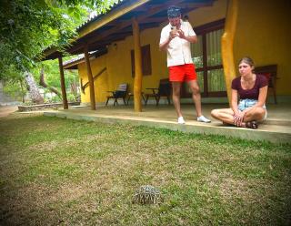 Elephant Fence Habarana - 1