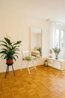 Bright newly furnished apartment with workspace and garden area near Zurich - Würenlos - 0