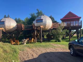 Terra Experience - 1