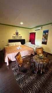 Forest Langkawi Stay Inn - 7