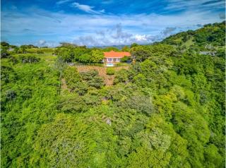 Finca Orgánica Sweet Home Mango - 8