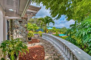 Finca Orgánica Sweet Home Mango - 6